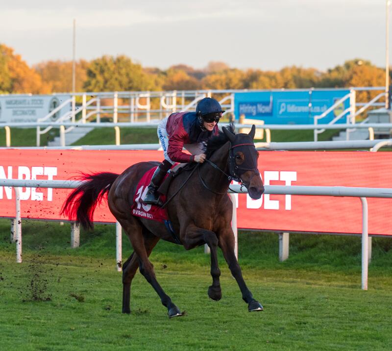 Castle Cove horse running in the 2025 November Handicap 