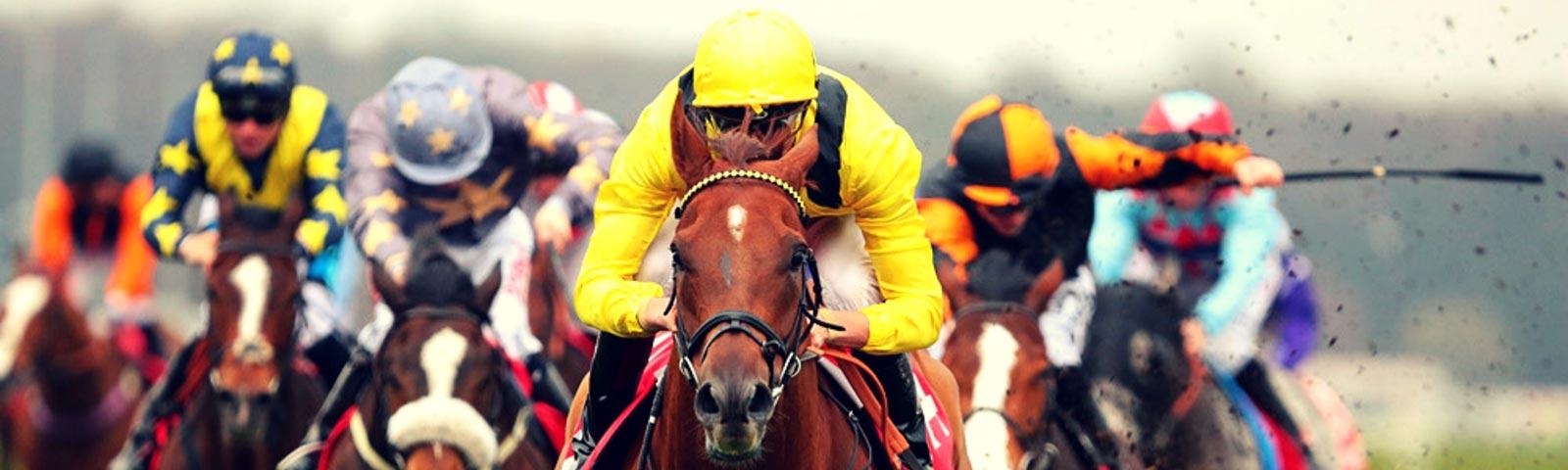 A close group of horses racing toward the camera at Doncaster Racecourse