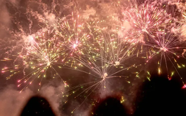 shadows of people watching a firework display 