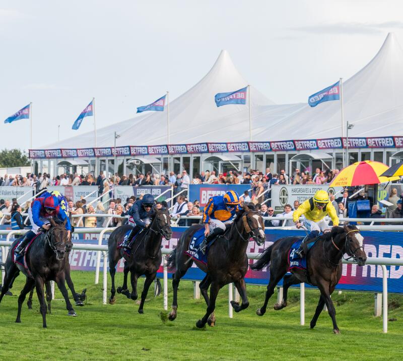 Betfred St Leger race 2025