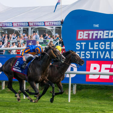 Scandinavia winning the Betfred St Leger Festival