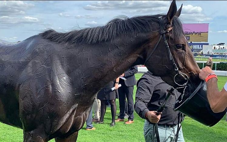 Breathtaking Look drinks water after the winning race.