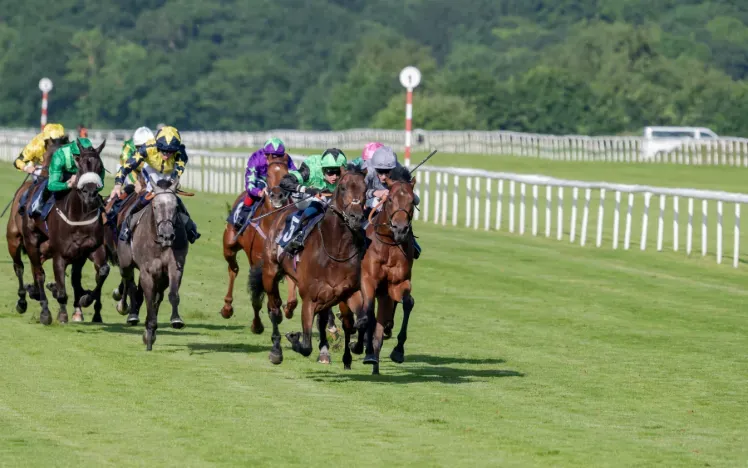Horses racing down the track on a sunny day at Doncaster