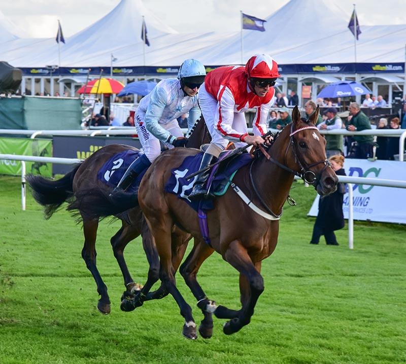 Two horse race at Doncaster Racecourse