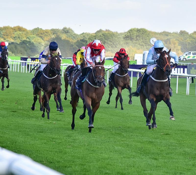 Horses racing at Doncaster Racecourse