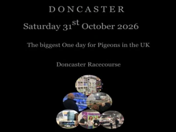 Doncaster Racecourse pigeon show