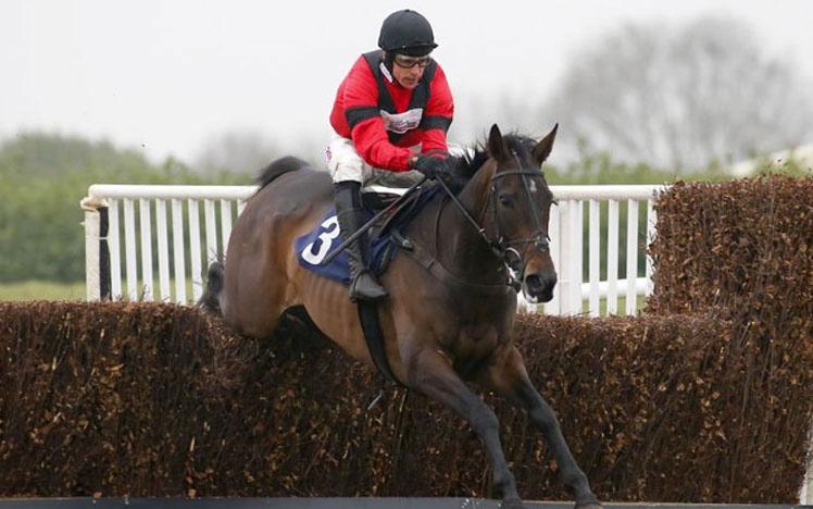Jockey on a horse jumping over a hurdle.