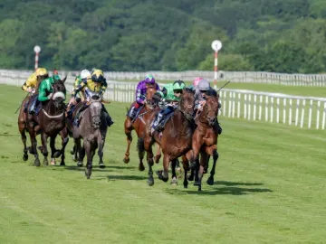 Horses racing down the track on a sunny day at Doncaster