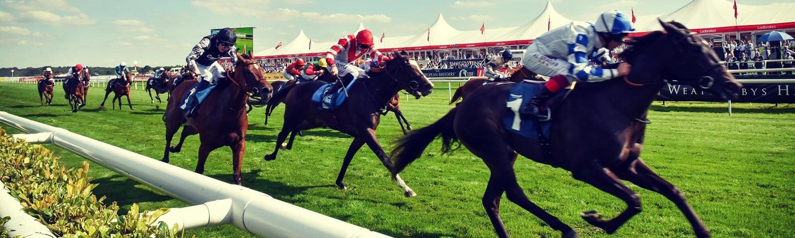 Horses race down the track