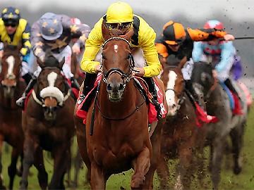 Horses race towards the camera
