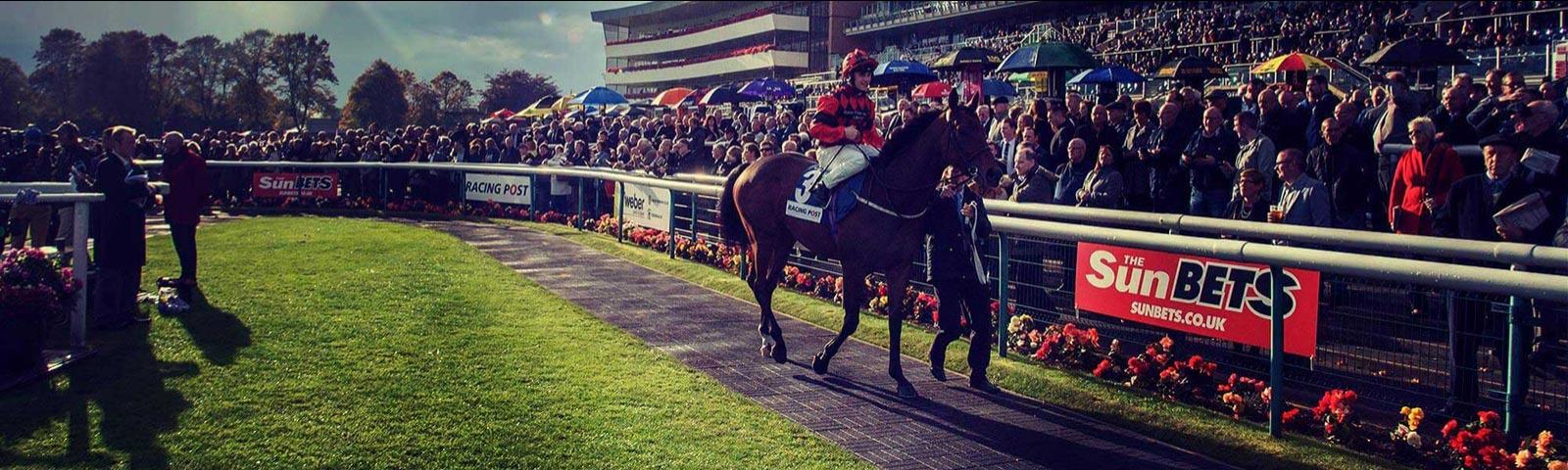 Jockey on a horse being led through parade ring at Doncaster Racecourse.
