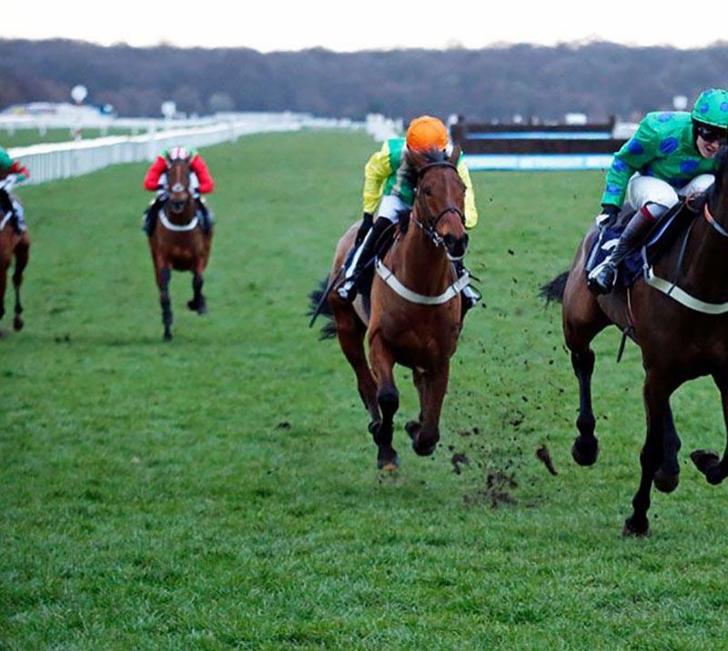 Horses racing at Doncaster Racecourse