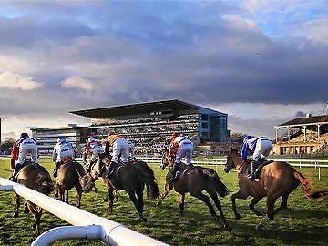 Horses race for the finish line with the grandstand in the distance